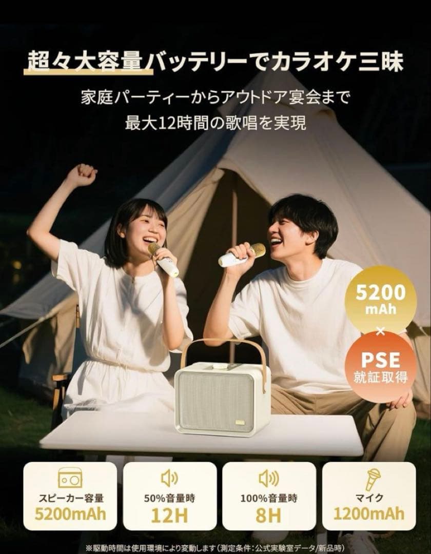 Blueera カラオケセット家庭用 BT マイク 2本 ワイヤレスカラオケ