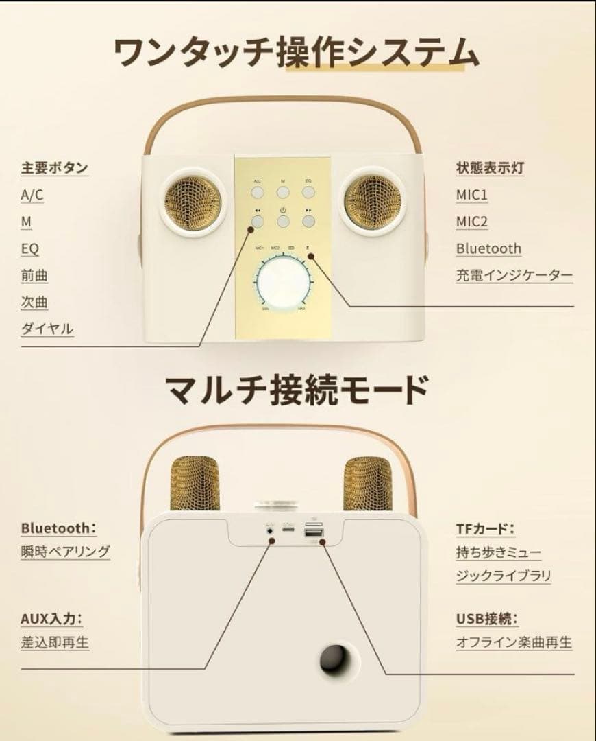 Blueera カラオケセット家庭用 BT マイク 2本 ワイヤレスカラオケ