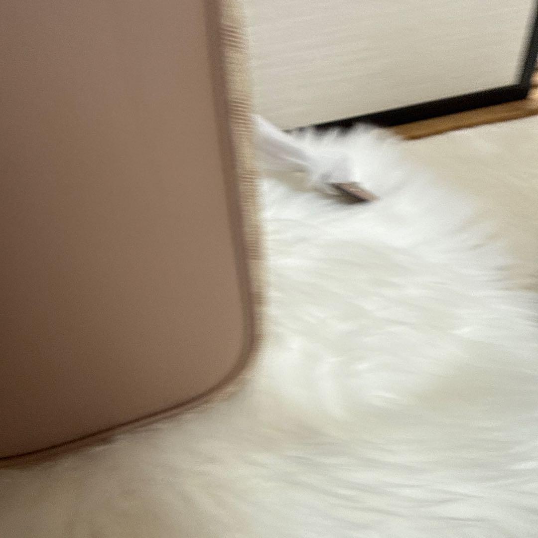 COACH バケットバッグ ベージュ