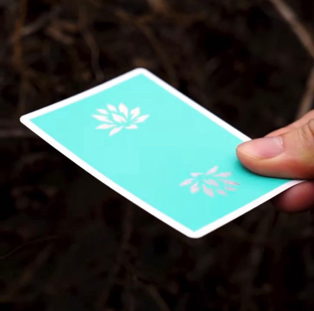 【専用】Lotus Jerry's Nugget HMNIM