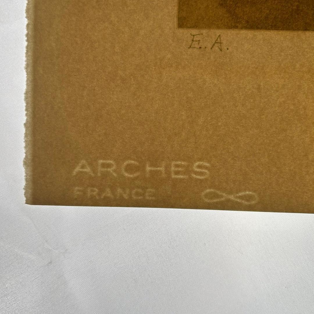 美品 中島千波「かとれあ」リトグラフ 直筆サイン・落款入り 額縁入り 日本画家