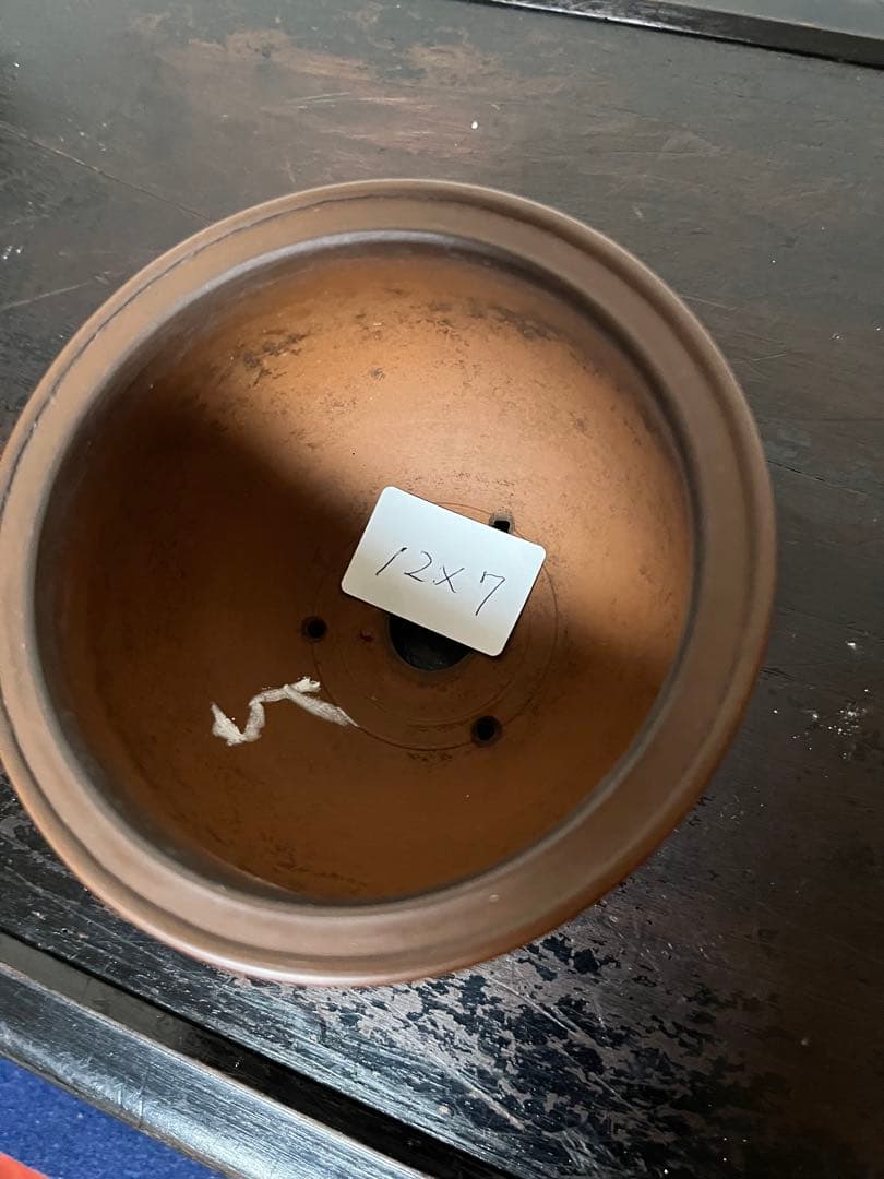 479 盆栽　盆栽鉢　植木鉢　和鉢　美芸