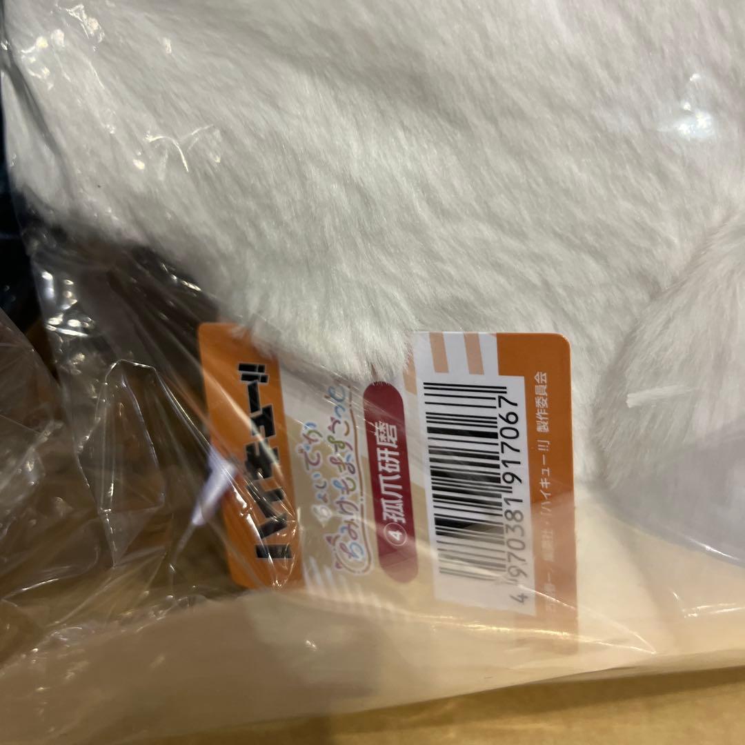 ジャンプフェスタ 2026 ハイキュー　ちょいでかちみけもますこっと　黒尾　研磨