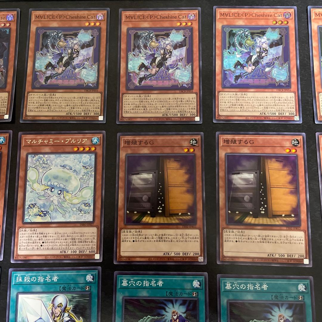 遊戯王デッキ　マリスデッキ　ガチ構築　②