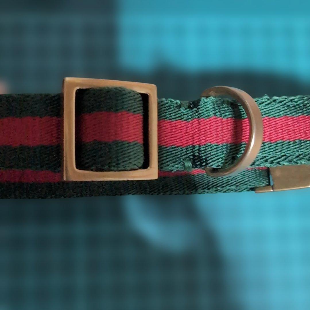 希少GUCCIドッグ 首輪、リード、スタッズシェリーライン