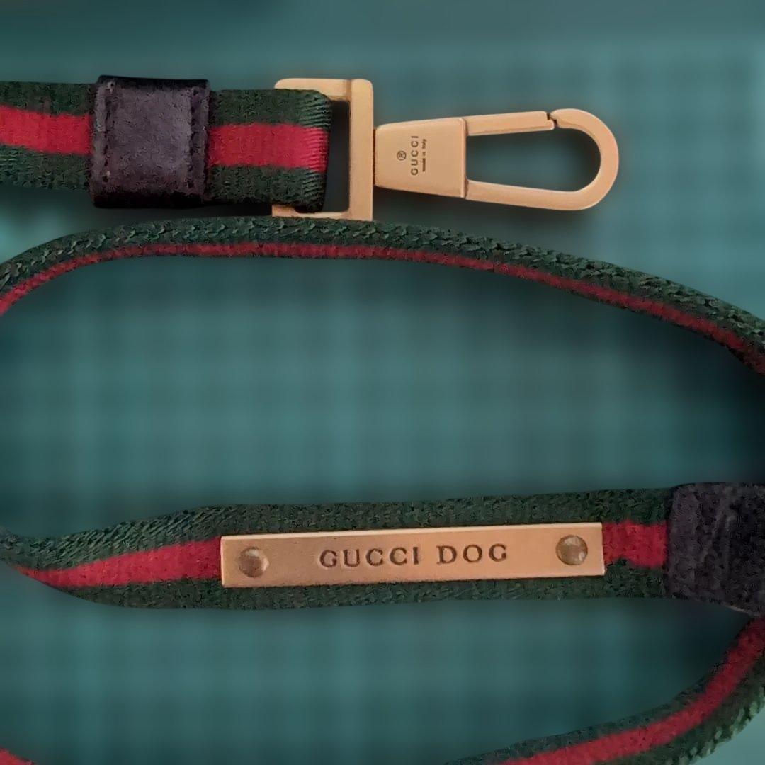希少GUCCIドッグ 首輪、リード、スタッズシェリーライン