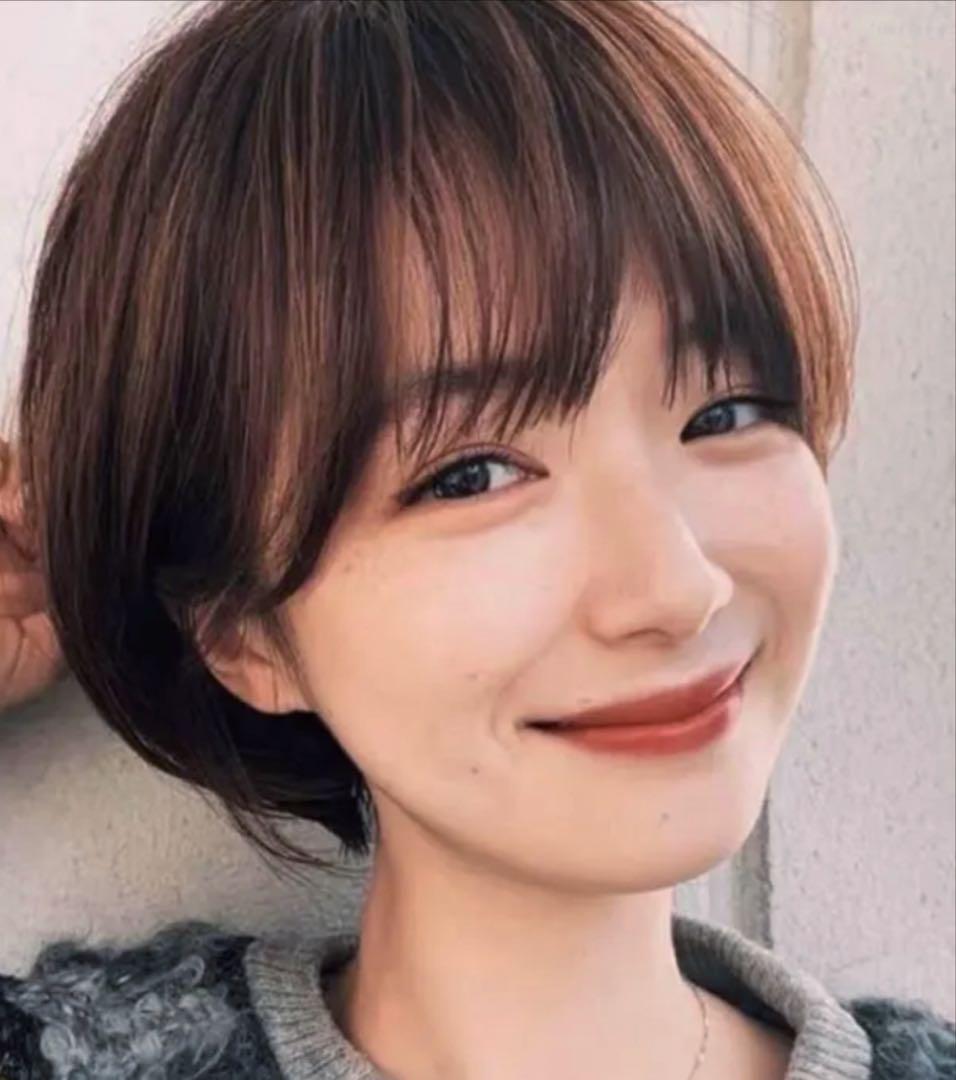 らいぞう様☆気品人毛100% ショートwig ウィッグBZ20