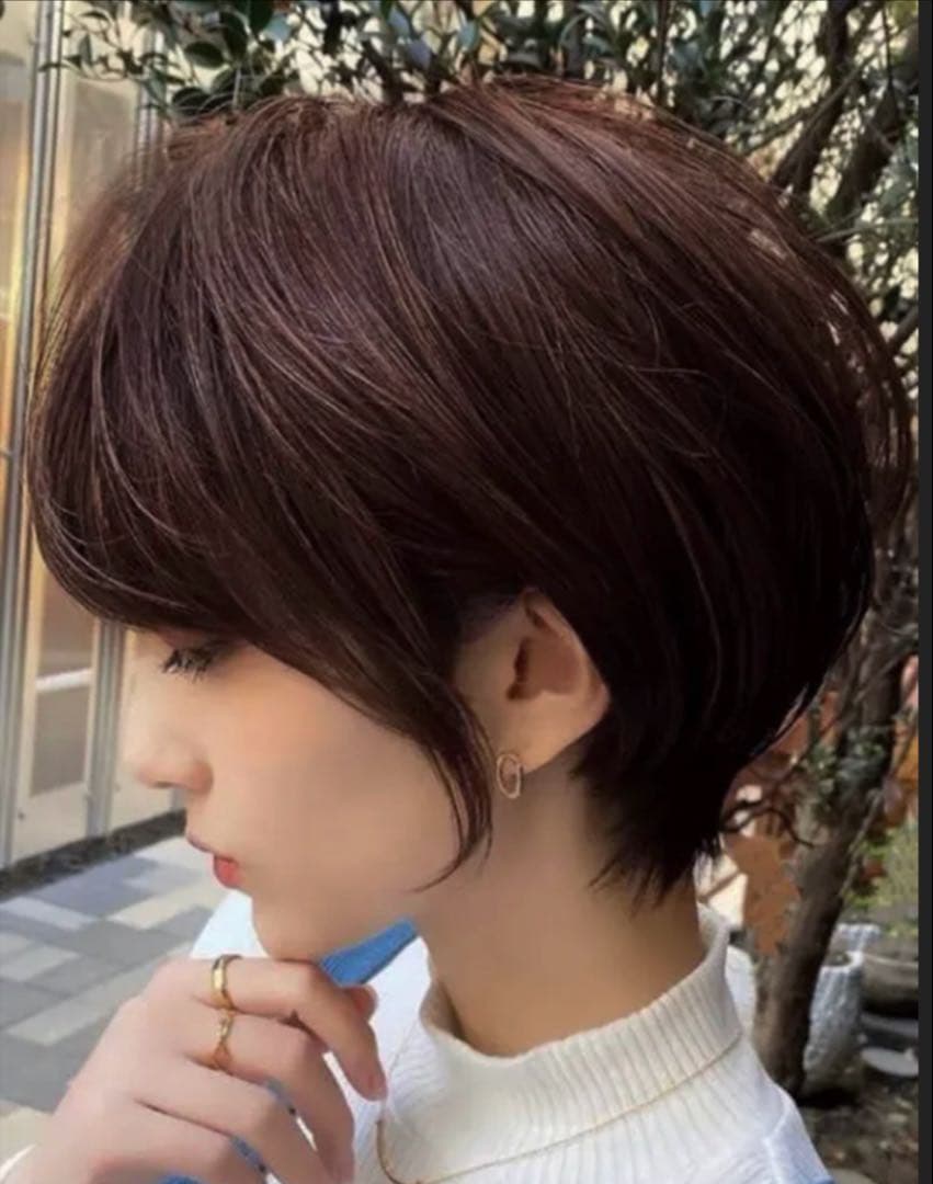 らいぞう様☆気品人毛100% ショートwig ウィッグBZ20