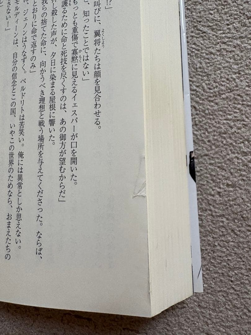 ♪されど罪人は竜と踊る 1〜24&0.5&オルケストラ+スニーカー文庫 8冊