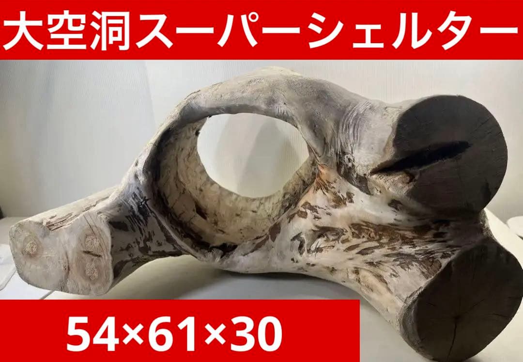 r86特大流木 アク抜き済み 爬虫類シェルター インテリア オブジェ テラリウム