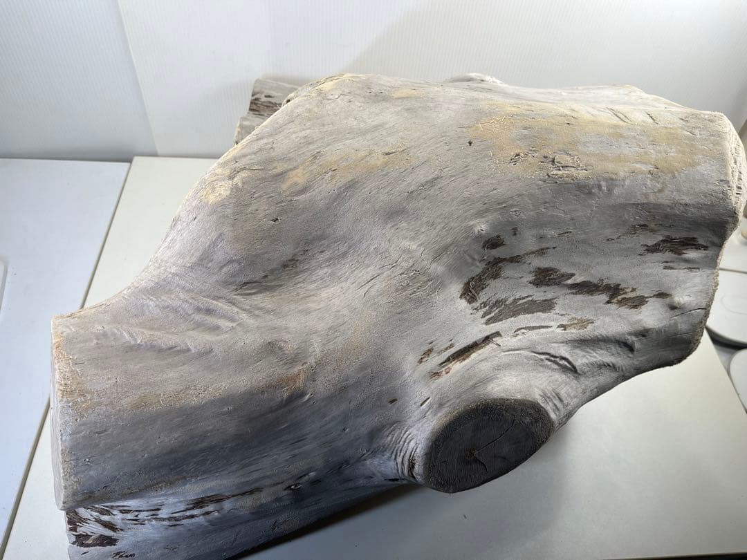 r86特大流木 アク抜き済み 爬虫類シェルター インテリア オブジェ テラリウム