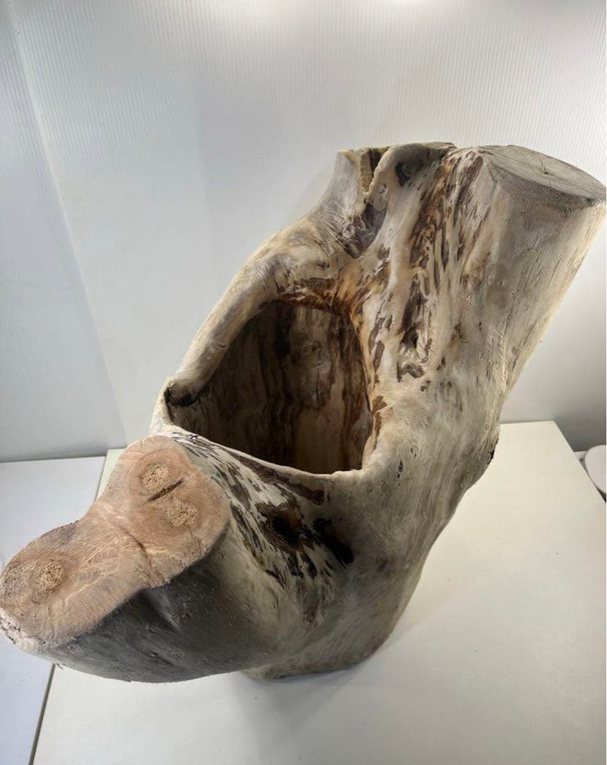 r86特大流木 アク抜き済み 爬虫類シェルター インテリア オブジェ テラリウム