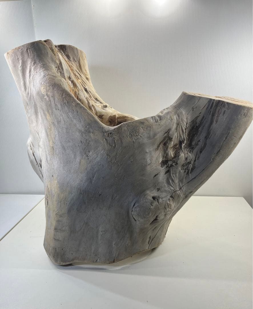 r86特大流木 アク抜き済み 爬虫類シェルター インテリア オブジェ テラリウム