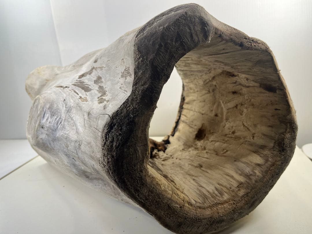 r86特大流木 アク抜き済み 爬虫類シェルター インテリア オブジェ テラリウム