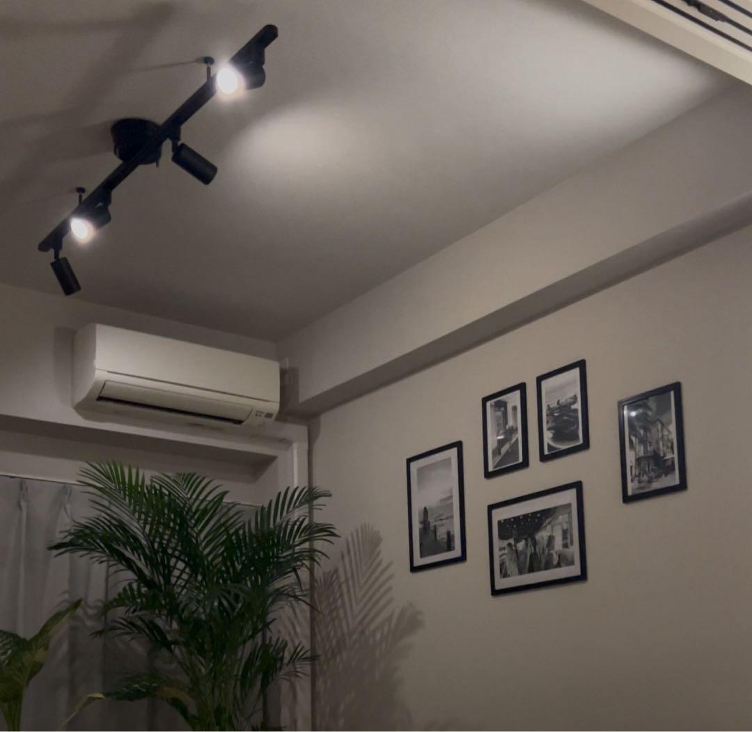 【共同照明】ダクトレールスポットライト／ブラック