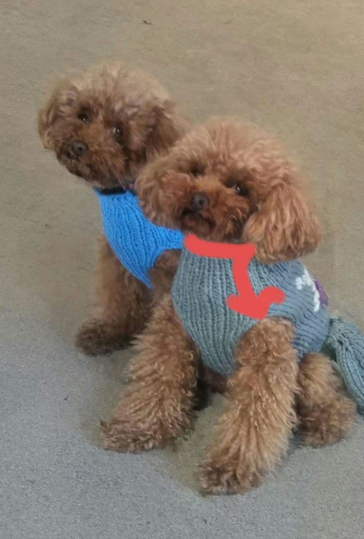 ご覧の皆様へ　採寸について少し…