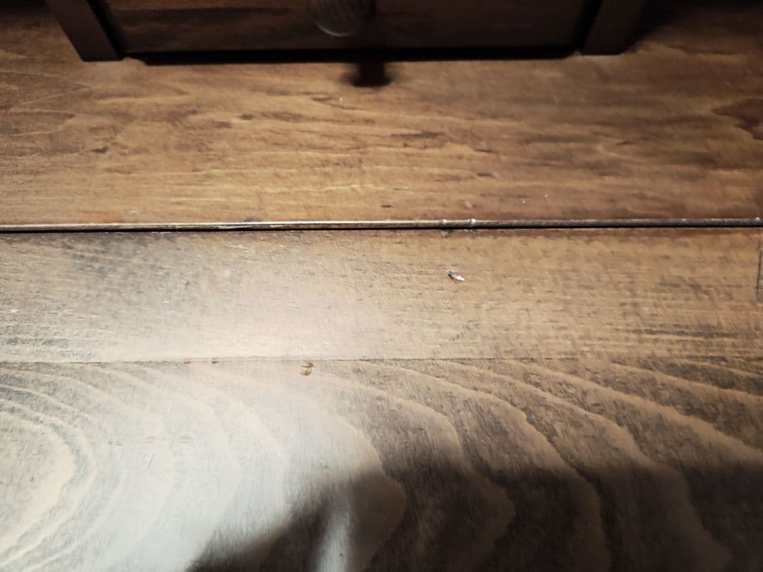 はなまるです。