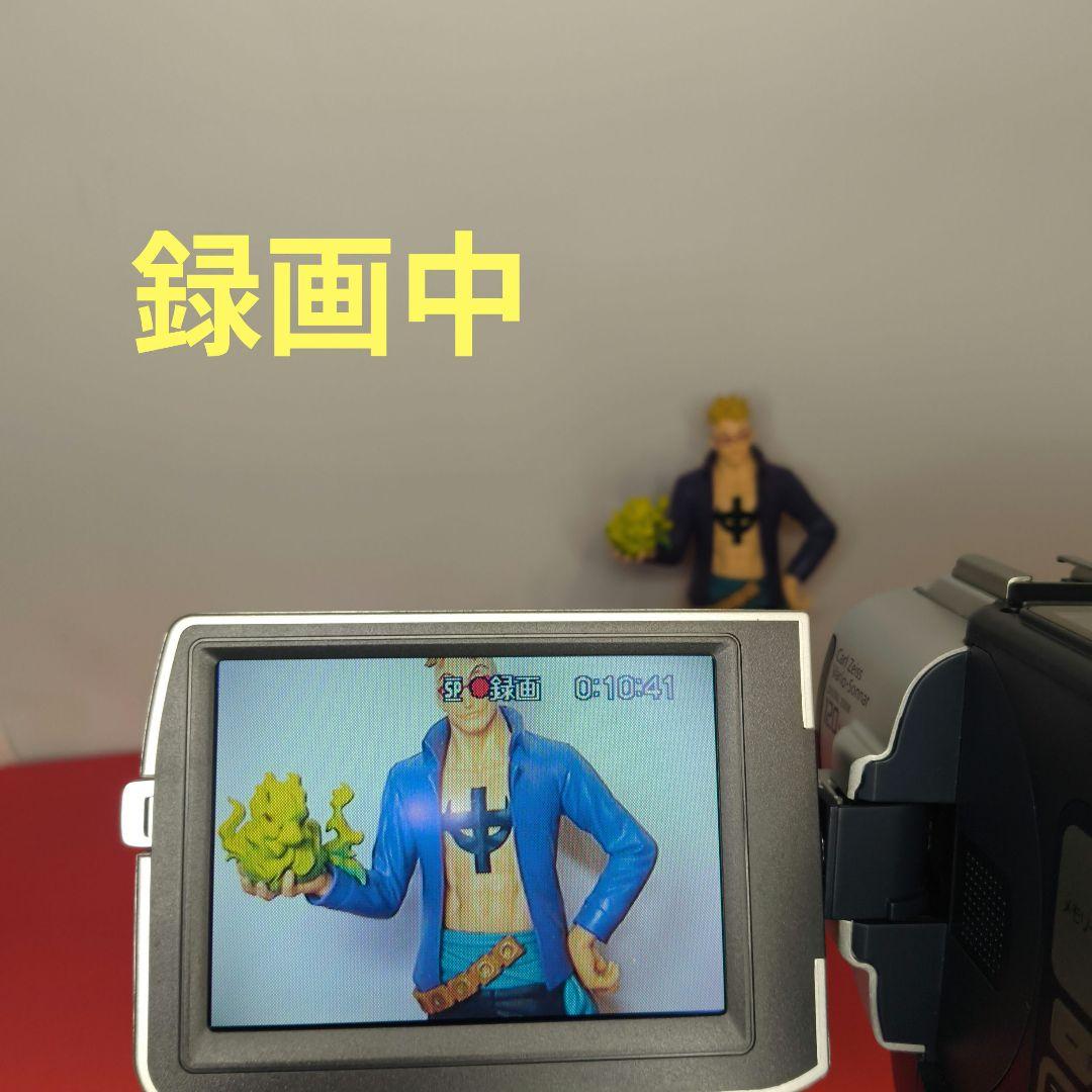 【動作確認済】SONY ソニーDCR-TRV107 ミニDV ビデオカメラ