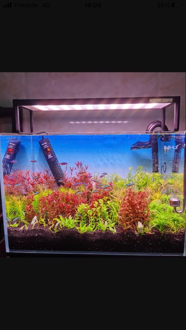 20Lろ材水質浄化抜群濾過フィルター自社製高品質セラミックリング送料込み