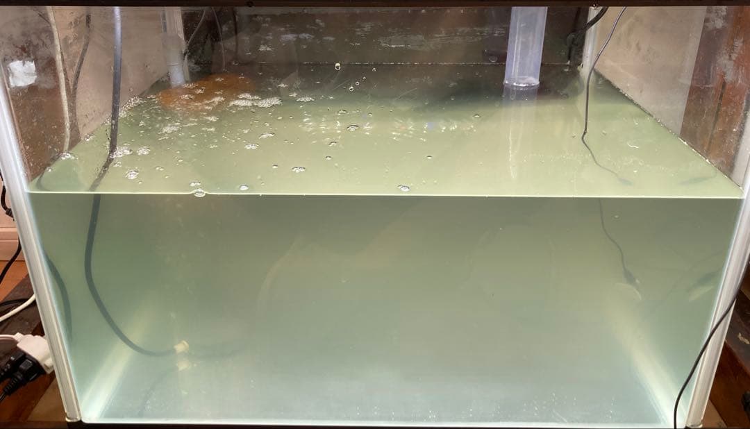 20Lろ材水質浄化抜群濾過フィルター自社製高品質セラミックリング送料込み