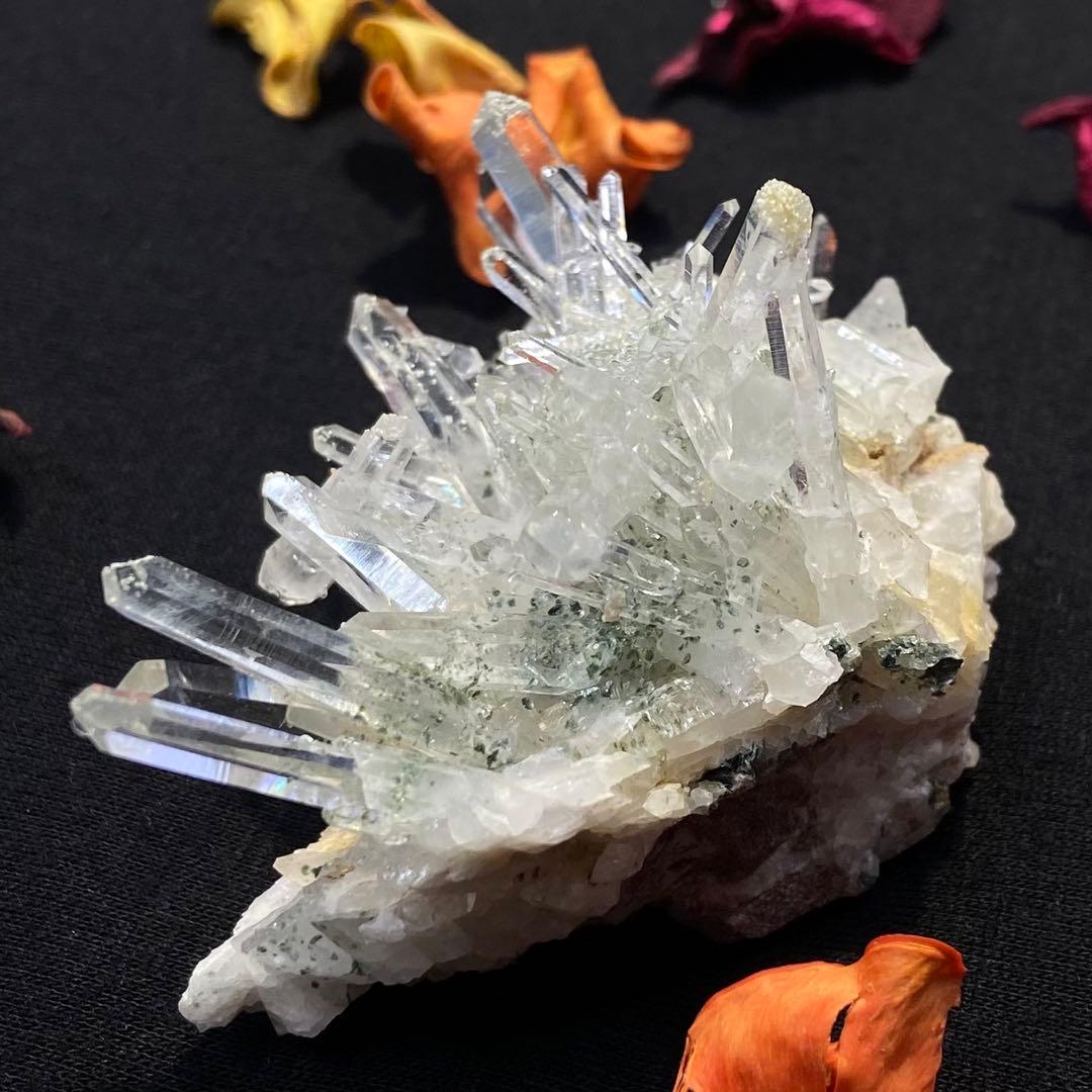 コロンビアレムリアンクラスター