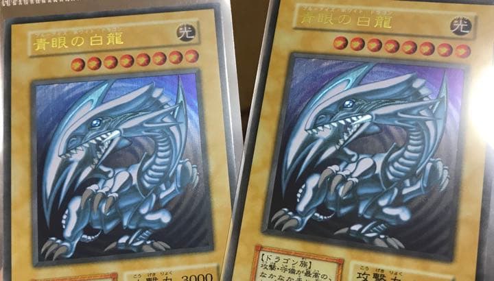 青艶エラー　遊戯王 青眼の白龍　ステンレス　値段交渉可能