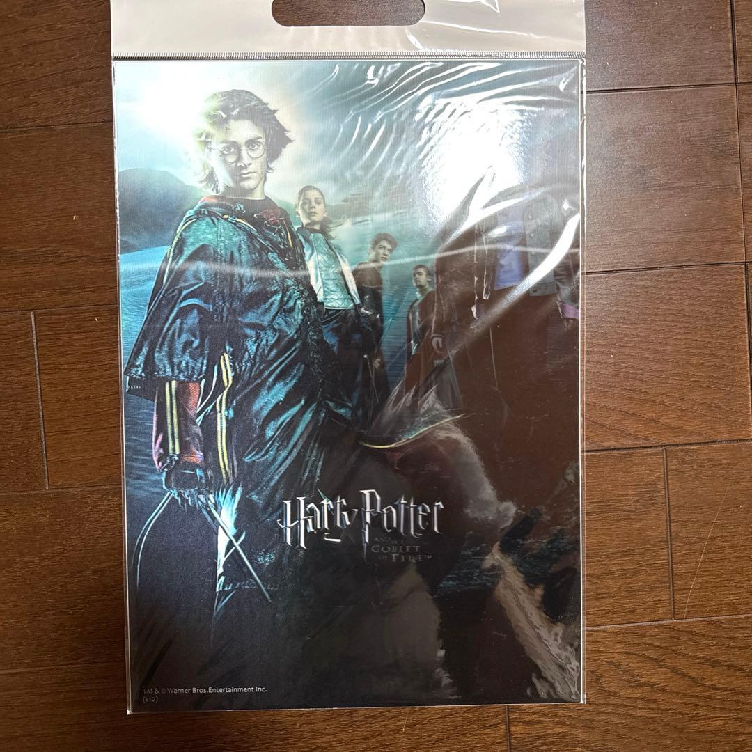映画ハリー・ポッターシリーズ　3Dポスター
