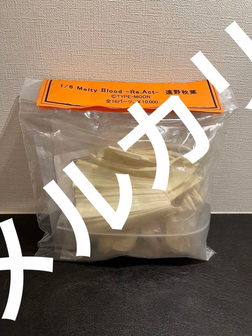 Cerberus Project遠野秋葉 1/6 ガレージキット