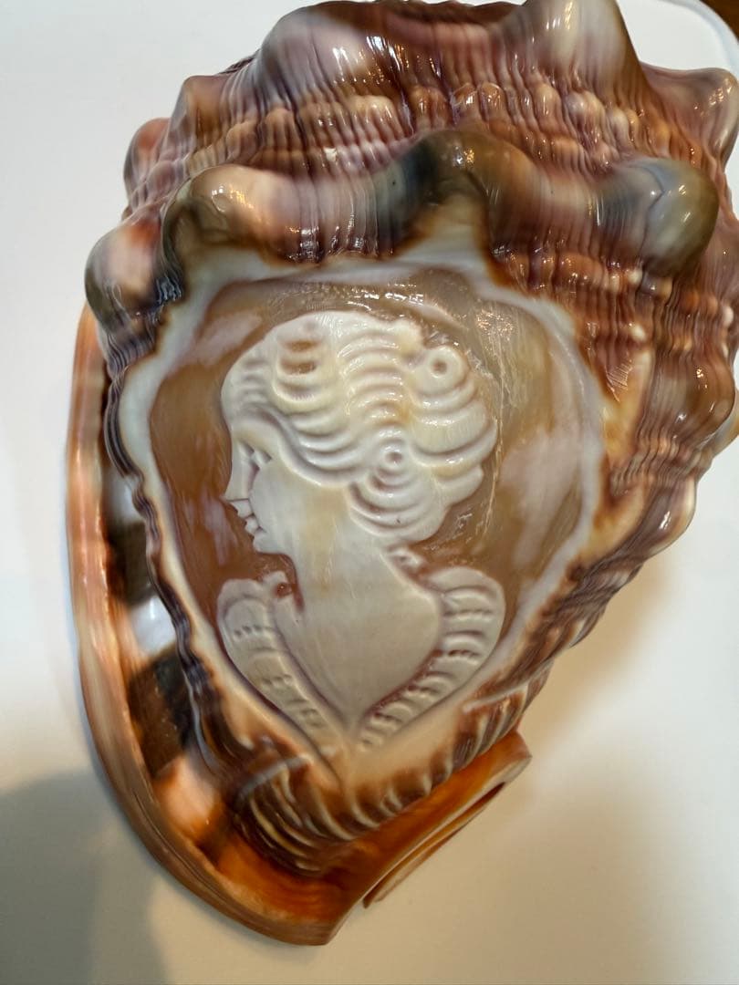 シェル カメオ インテリア 置物 ディスプレイ ①