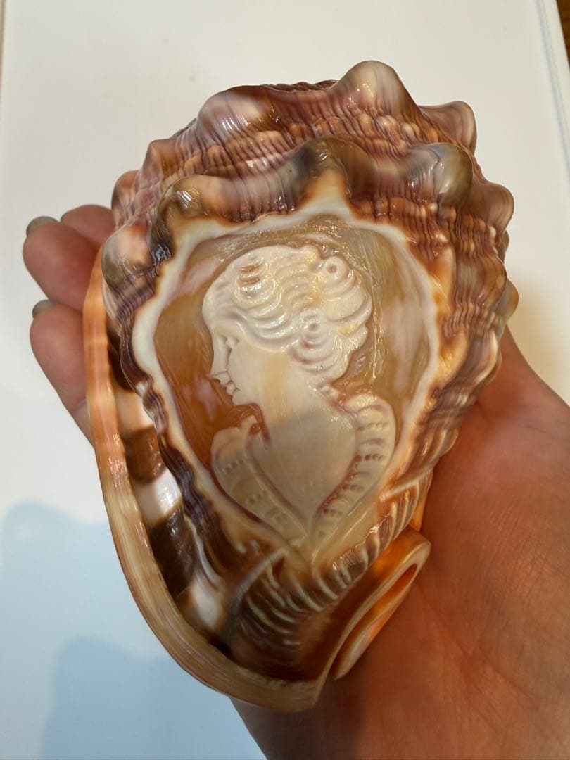 シェル カメオ インテリア 置物 ディスプレイ ①