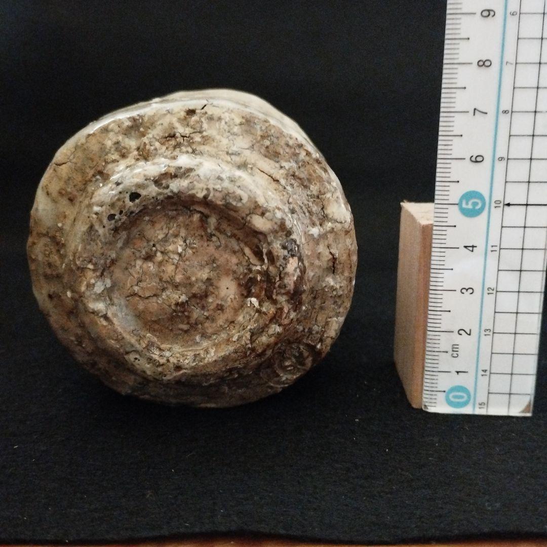 月形那比古　湯呑