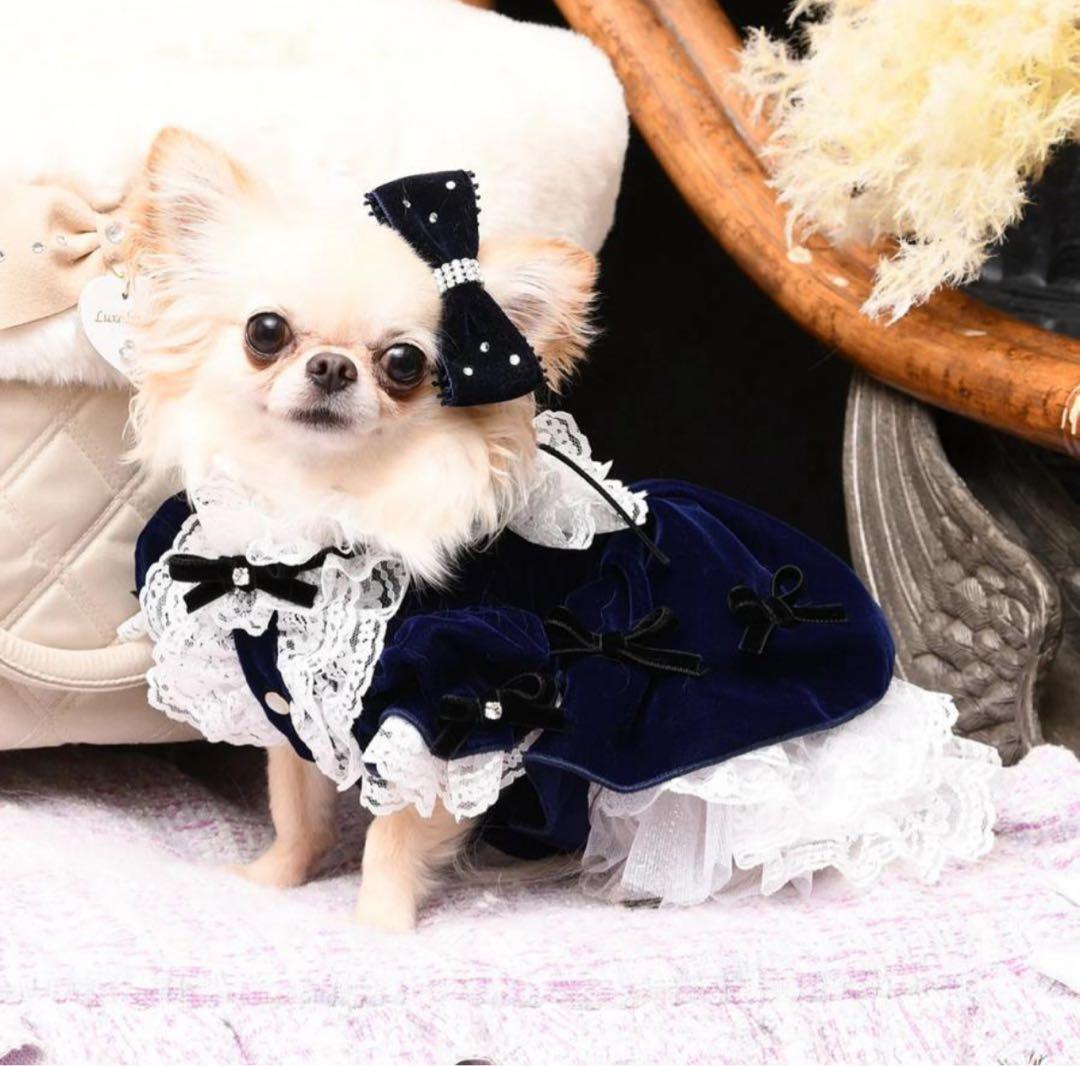 新品　 luxebirdie エリアスワンピース　 ネイビー