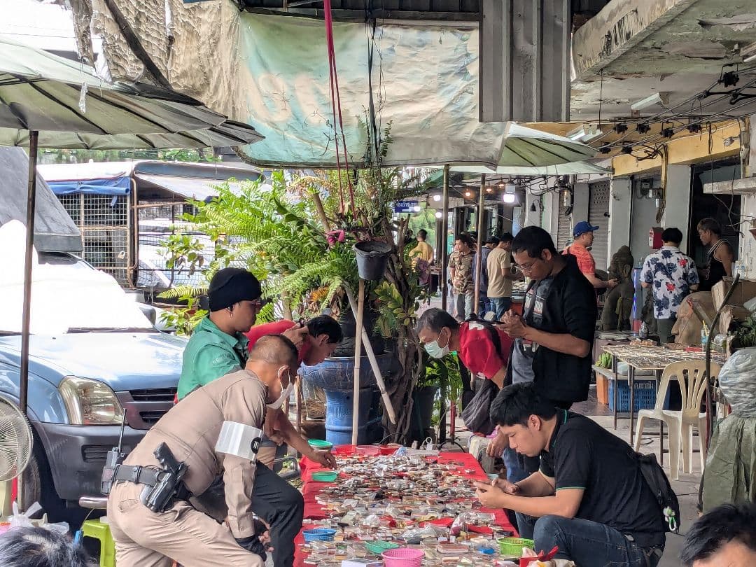 激レア！高級プラクルアン＆呪物おまとめセット！…兼要望用！
