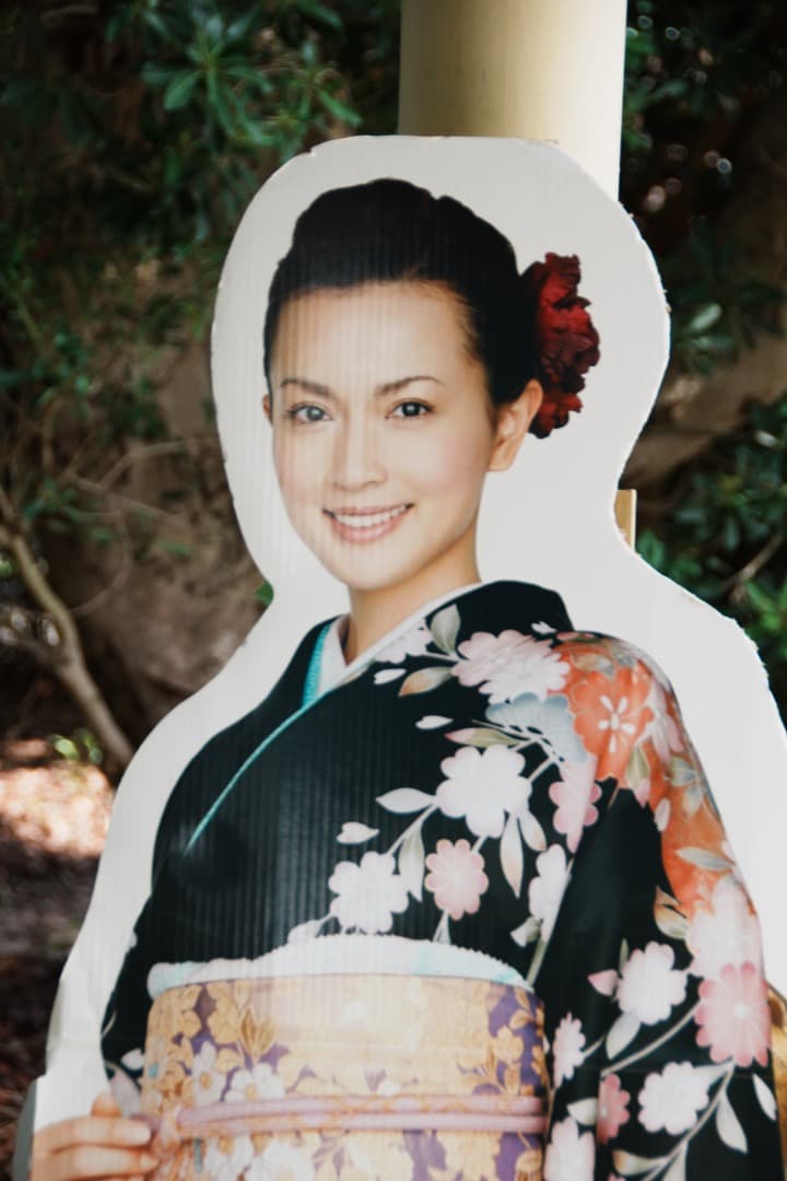 極上美品★ニコン 18-200mm VR II 便利ズーム 手ぶれ補正 173