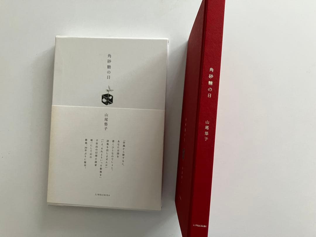 角砂糖の日 新装版 山尾悠子 初版第一刷発行