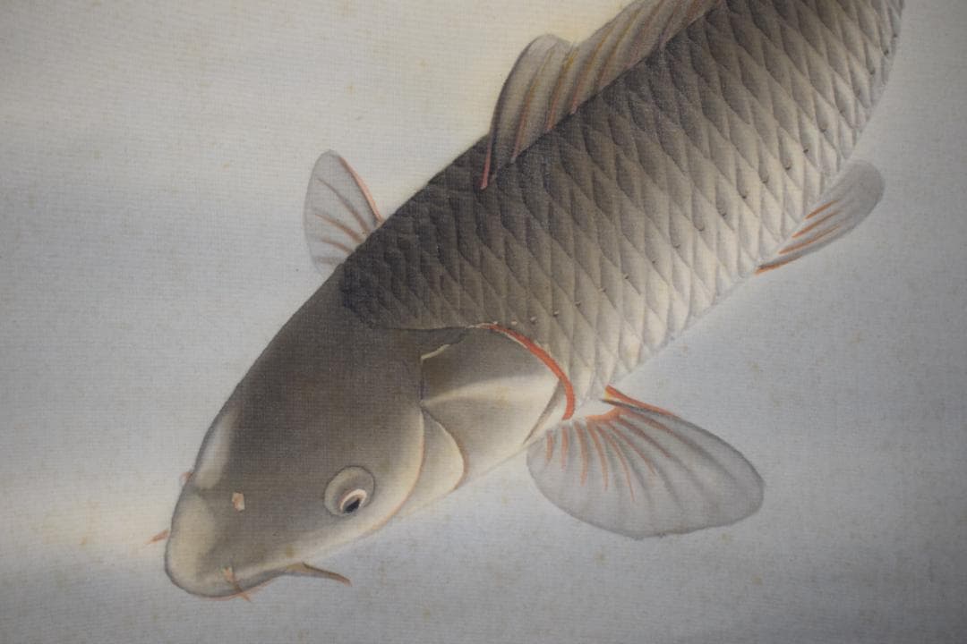 【真作】上田陽愷/鯉之図/游鯉図/横物/漆画/掛軸☆宝船☆Y-743　JM