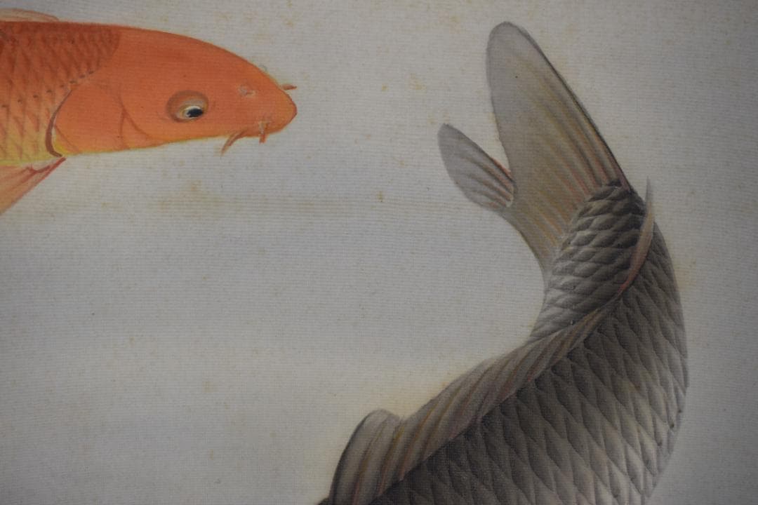 【真作】上田陽愷/鯉之図/游鯉図/横物/漆画/掛軸☆宝船☆Y-743　JM