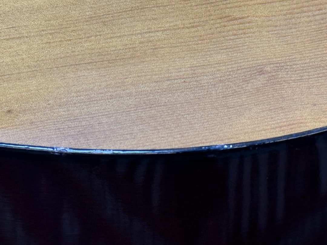 Yamaha F-310 ヤマハ＋ Gator製ギグケース