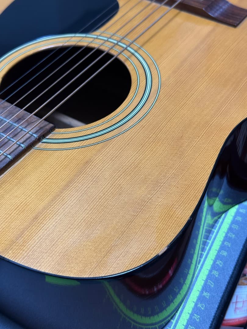 Yamaha F-310 ヤマハ＋ Gator製ギグケース