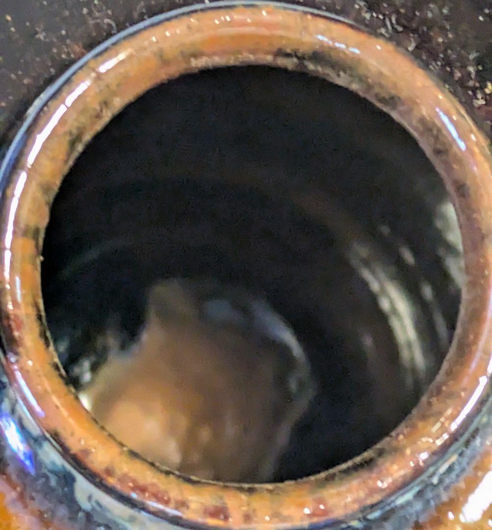 茶入 膳所焼 陽炎園 淡海 せせ 伊予すだれ金襴仕覆付き 共箱