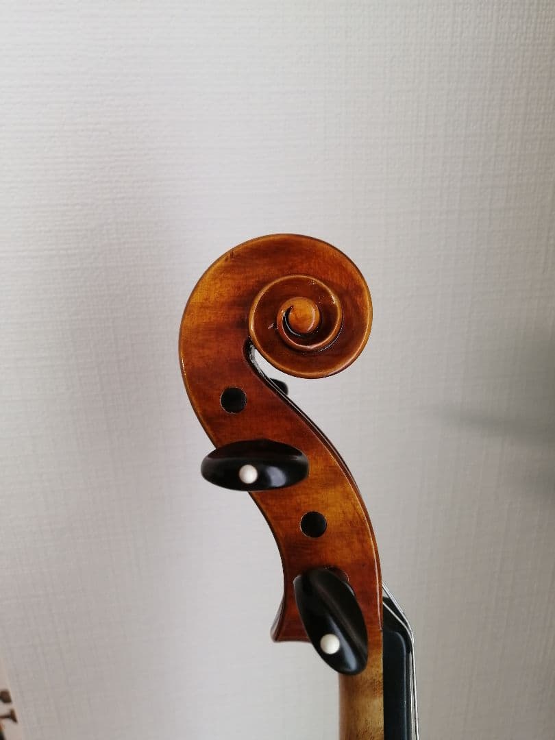 roderich paesold no.806 ヴァイオリン