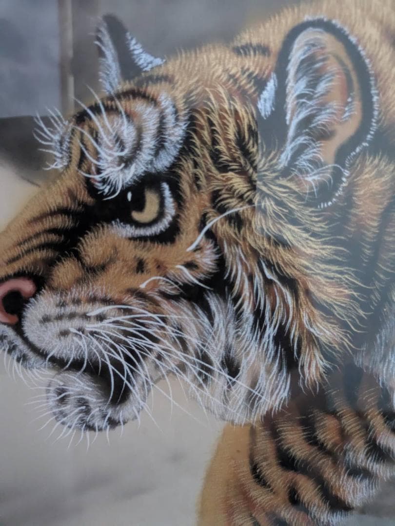 金箔の虎の絵　阪神タイガース優勝記念　縁起物　絵画　掛け軸　真作　川島玉翠