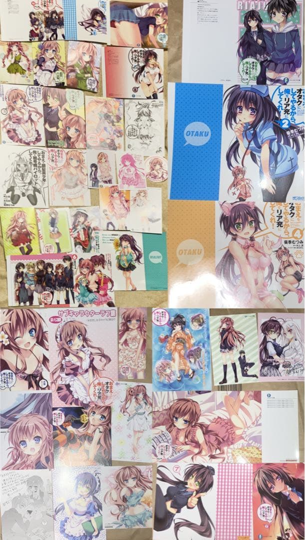 特典多数　おまえをオタクにしてやるから、俺をリア充にしてくれ! あなぽん　オタ充