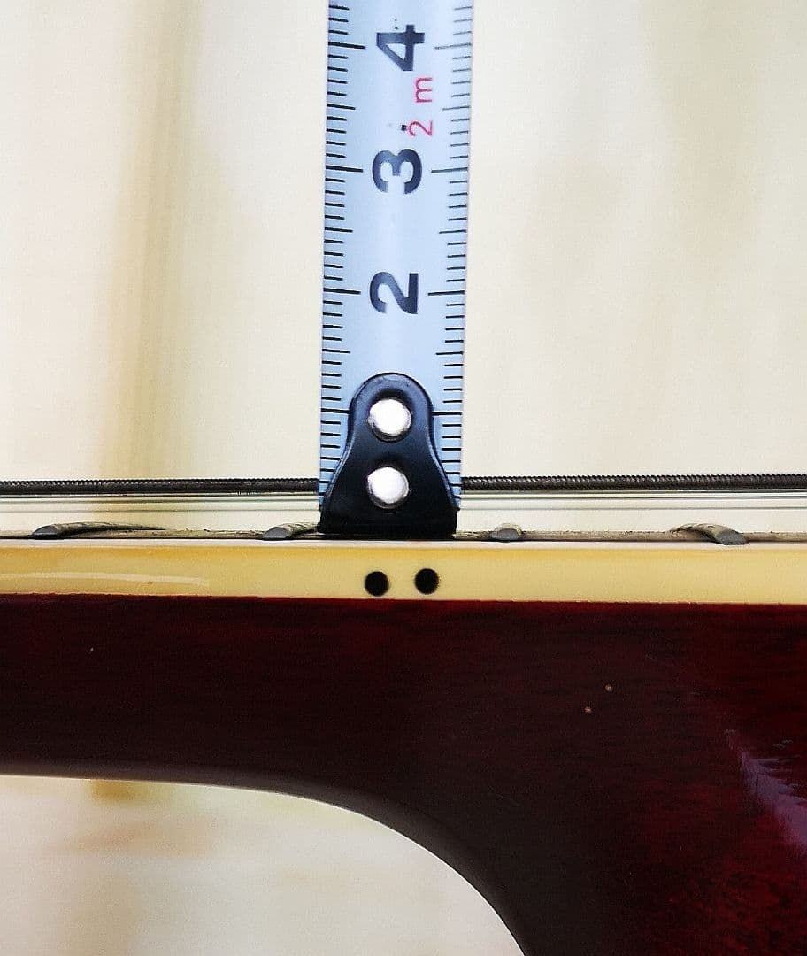 Morris モーリス WD-25N アコースティックギター ダヴモデル