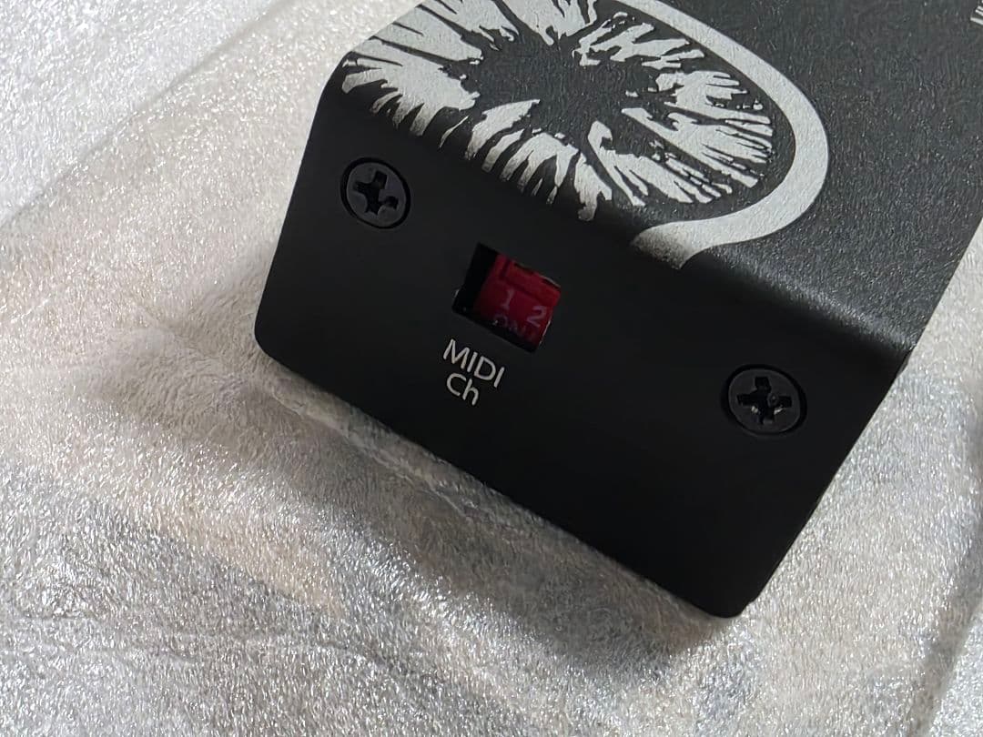 ギター Limestone Audio MU-C