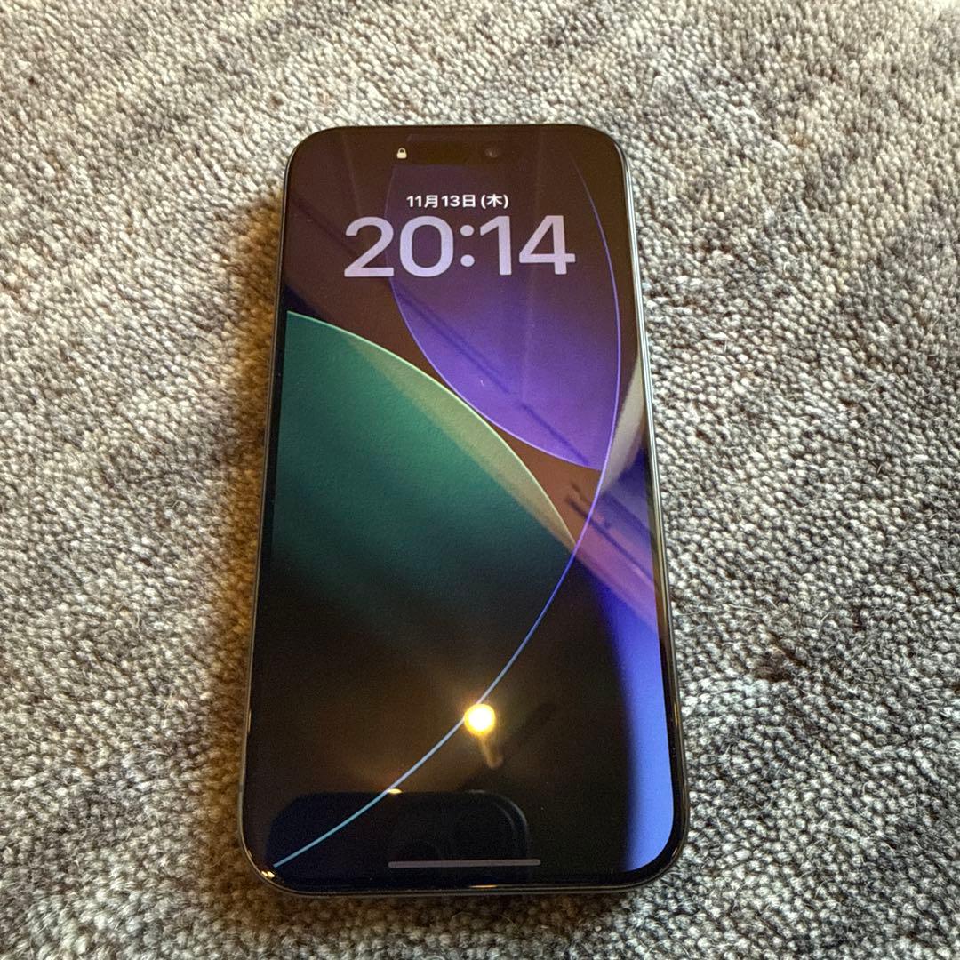 専用【米国版】Apple iPhone 15 Pro スペースブラック 本体