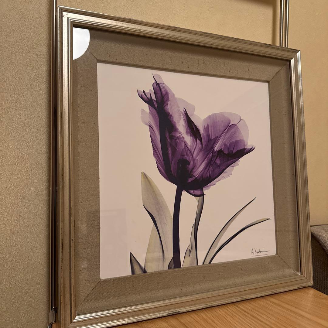 アルバートクーツィール　レントゲンフラワー2点