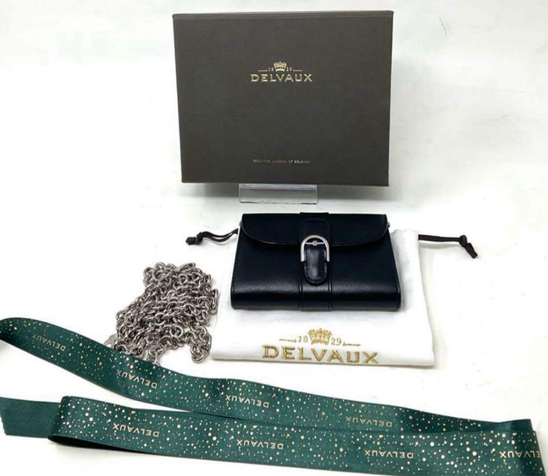 DELVAUX ブリヨン　チェーンカードホルダー、ケース　アップダウン柄