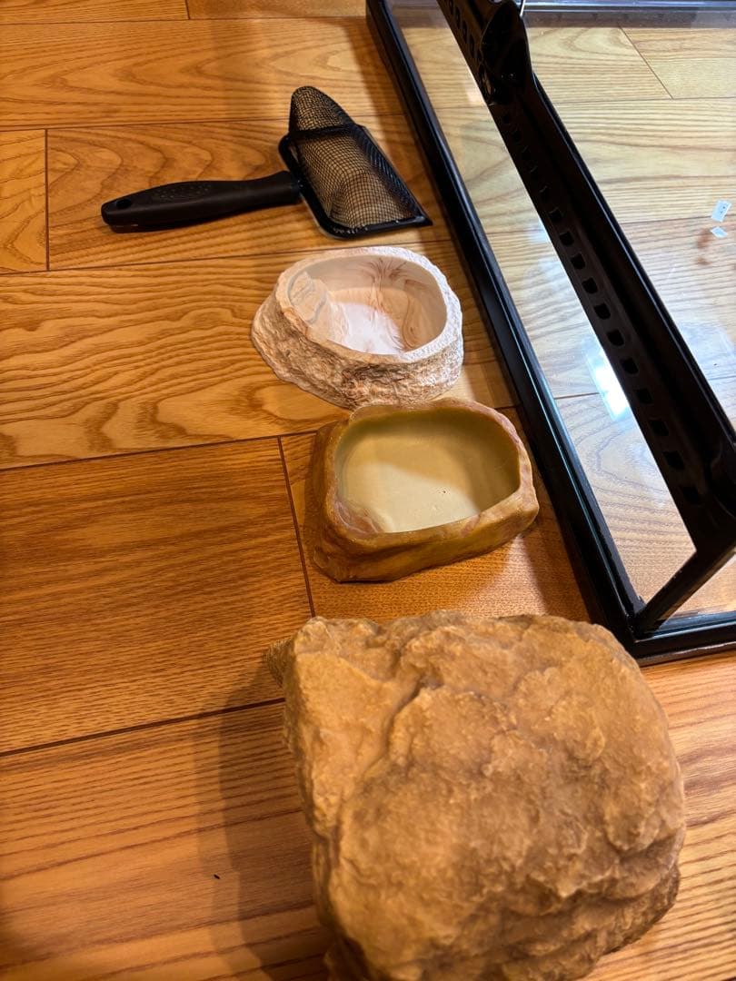 爬虫類　飼育セット　グラステリウム