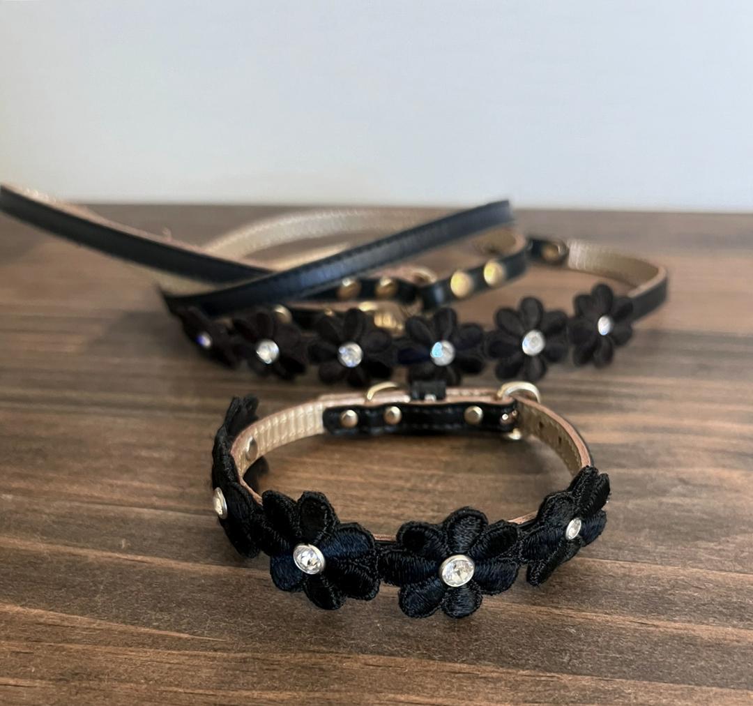 リュクスバーディ Luxebirdie プリシラカラー25 ＆プリシラリード 黒